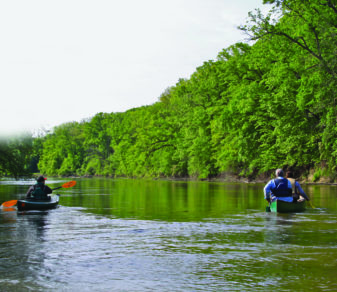 Two people canoeing down a calm river surrounded by trees.